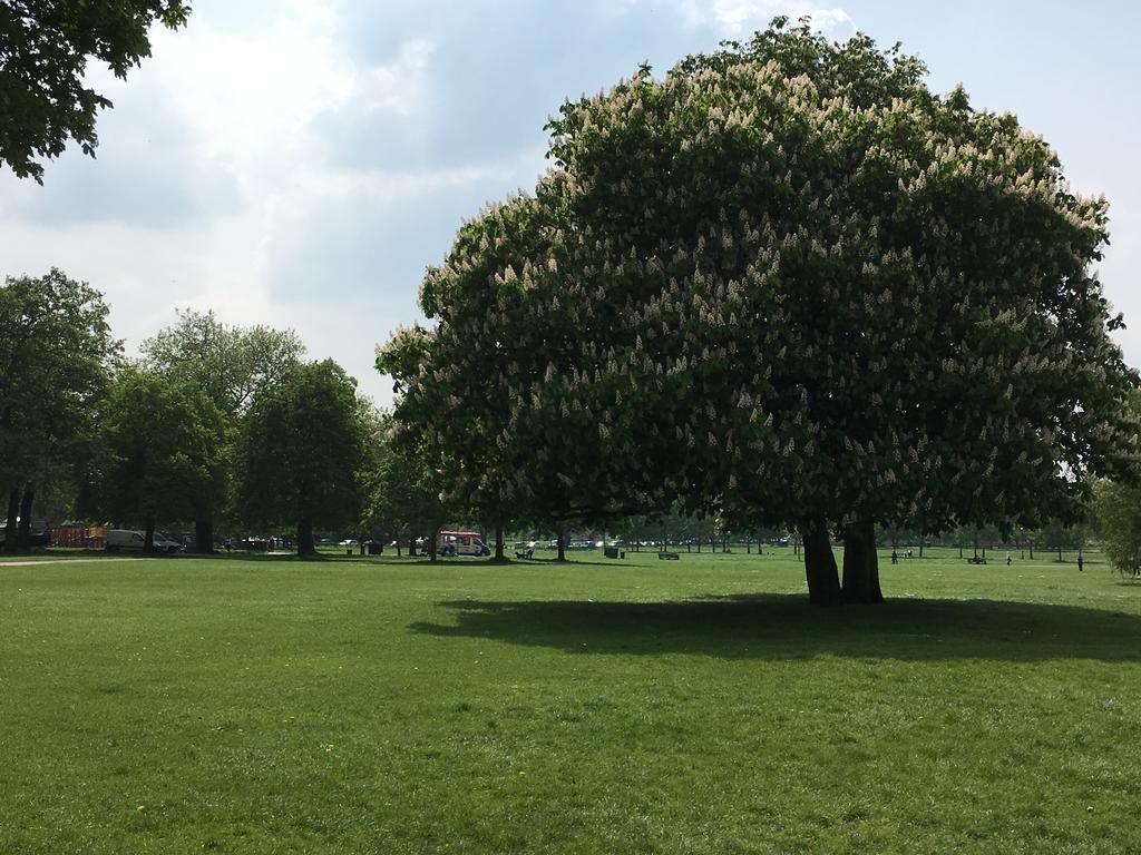 Clapham South Dudley Hotel London Ngoại thất bức ảnh